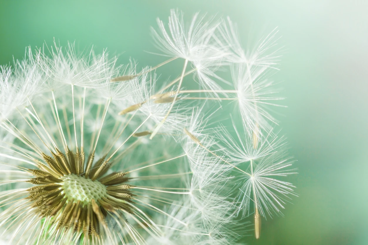 Stresszkezeles es feszultsegoldas a mindfulness-szel.